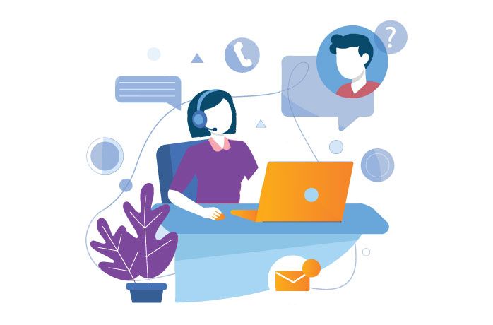 Professional Web Development & IT Services Illustration